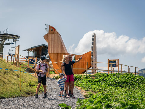 Spielen, staunen und lernen mit thematisierten Wood’n’Fun-Elementen in Balderschwang (Deutschland)