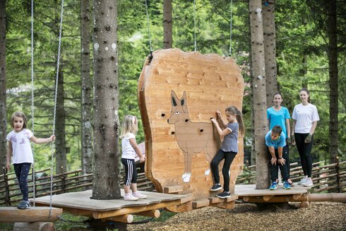 Sulle tracce della volpe